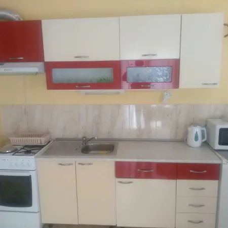 Apartment Anita Brodarica